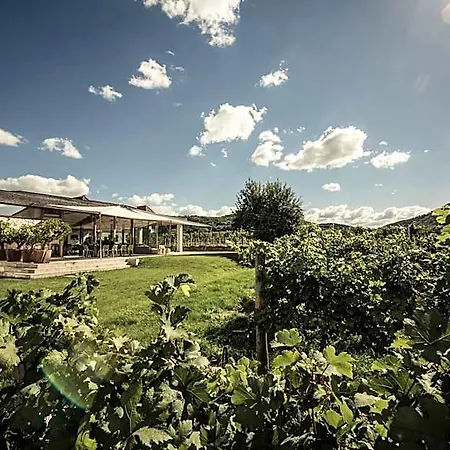 Malat Weingut Und Ξενοδοχείο 4*