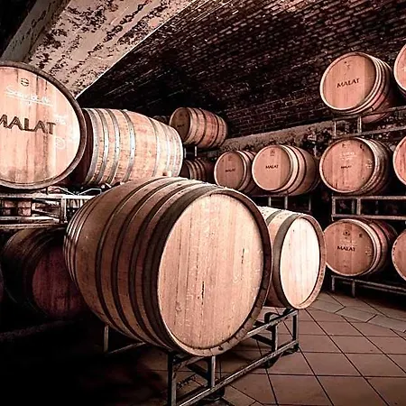 Ξενοδοχείο Malat Weingut Und 4*