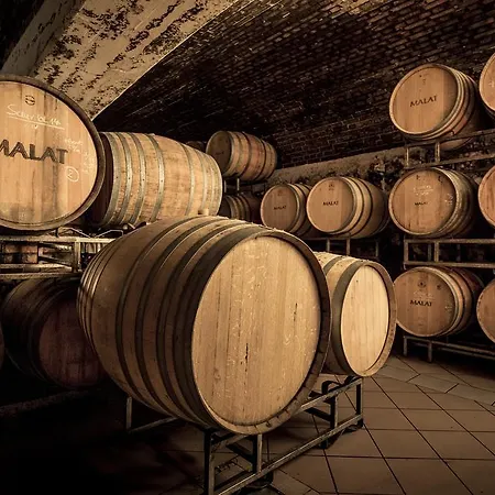 Malat Weingut Und